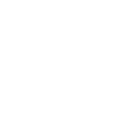 Interim Management Data & AI